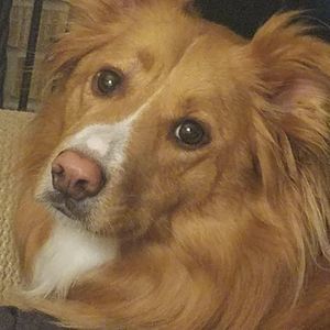 Meet your Posher, Erika